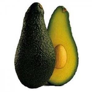  - Trái Bơ Pinkerton, Giá Bơ Pinkerton, Quả bơ Pnkerton, Pinkerton Avocado, Trái bơ Pinkerton